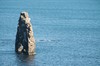 DSCF9004_Export