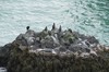 DSCF9048_Export
