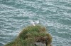 DSCF9049_Export