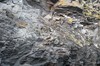 DSCF9084_Export
