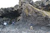 DSCF9088_Export
