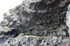 DSCF9089_Export