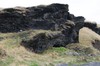 DSCF9104_Export