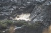 DSCF9109_Export