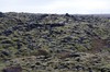 DSCF9140_Export