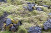 DSCF9141_Export