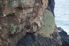 DSCF9157_Export