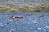 DSCF9202_Export