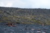 DSCF9214_Export
