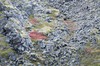 DSCF9241_Export