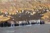 DSCF9331_Export