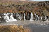 DSCF9337_Export