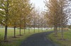 DSCF9399_Export