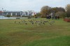 DSCF9400_Export