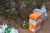 AnnaAndBasil2017_Export_029